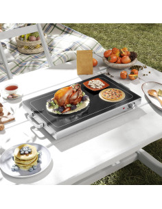 Bandeja Calentadora Eléctrica HOMCOM 55.88x35.56cm 300W 2