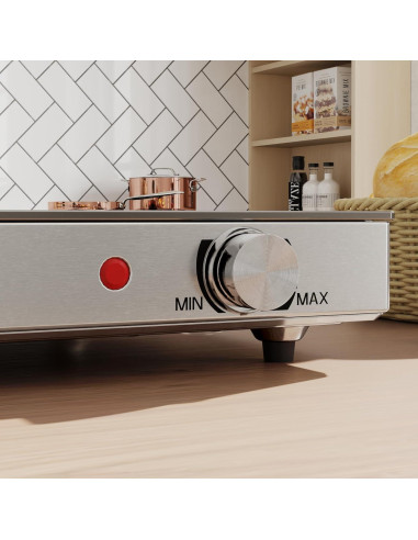 Bandeja Calentadora Eléctrica HOMCOM 55.88x35.56cm 300W