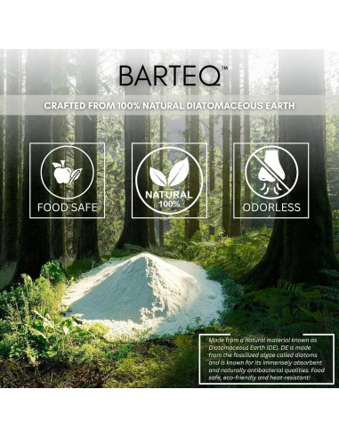 Alfombrilla de Secado de Piedra BARTEQ 60x39 cm Antideslizante