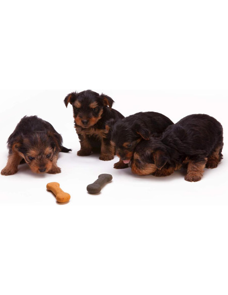 Fondo de Pantalla Chromakey 2.74x3.96m Julius Studio Multicolor