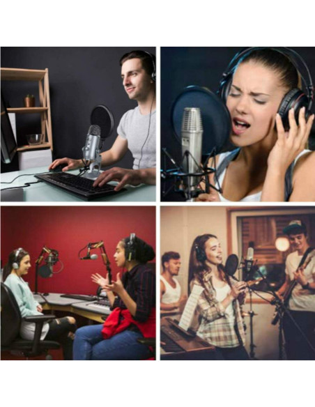 Filtro Pop de Micrófono de Estudio con Cuello de Ganso Ajustable