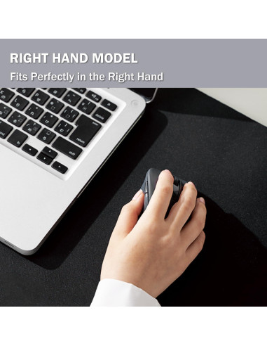 Ratón Ergonómico Inalámbrico ELECOM M-XGM30DBSKBK 2000DPI Negro