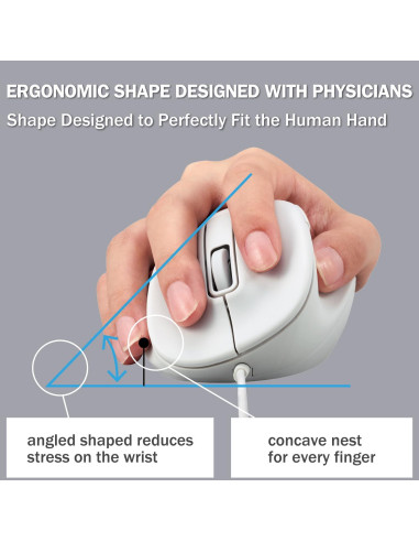 Ratón USB Ergonómico ELECOM EX-G M Blanco 2000DPI 5 Botones