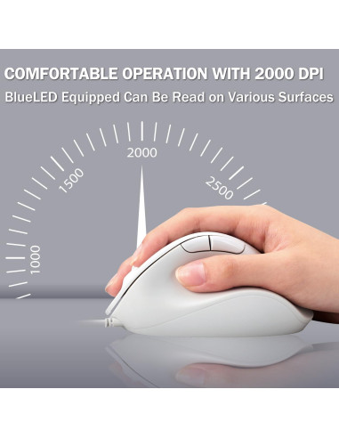 Ratón USB Ergonómico ELECOM EX-G M Blanco 2000DPI 5 Botones