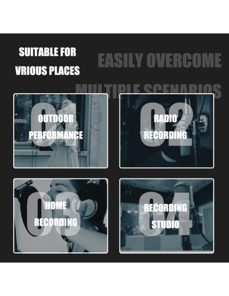 Filtro Antipop Micrófono Profesional F2 Micfuns 45-60mm