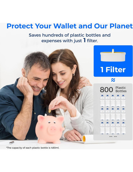 Filtros de Reemplazo Waterdrop WD-PF01A-P para Jarras 1 Unidad