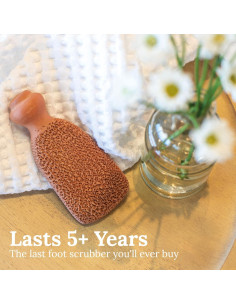 Piedra Pómez de Terracota Gilden Tree Exfoliador de Pies 14cm 2