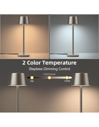 Lámpara de Mesa LED YHT S816B Cromo Regulable 2 Brillos