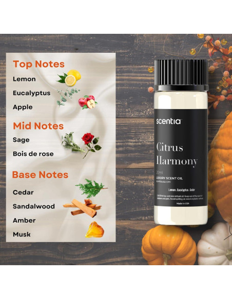 Juego de Aceites Aromáticos Scentia 3x20ml Otoño Juego de Aceites Aromáticos Scentia 3x20ml Otoño