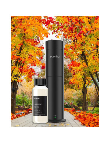 Juego de Aceites Aromáticos Scentia 3x20ml Otoño