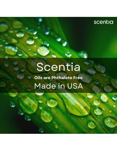 Juego de Aceites Aromáticos Scentia 3x20ml Otoño