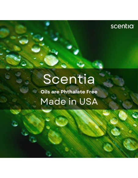 Juego de Aceites Aromáticos Scentia 3x20ml Otoño Juego de Aceites Aromáticos Scentia 3x20ml Otoño