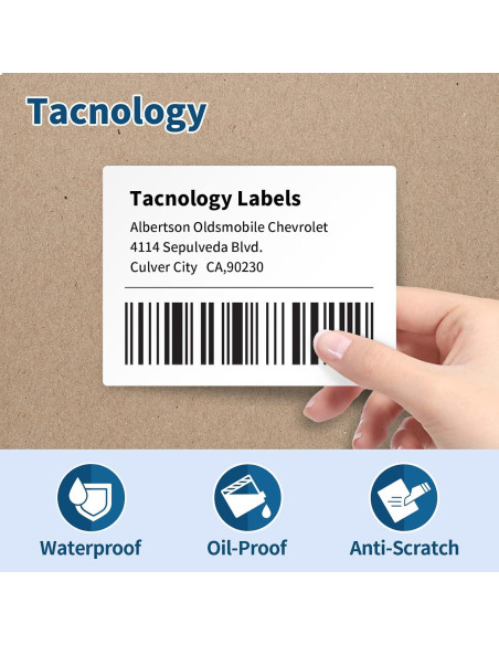 12 Rollos Etiquetas Térmicas 10.16 x 7.62 cm Tacnology