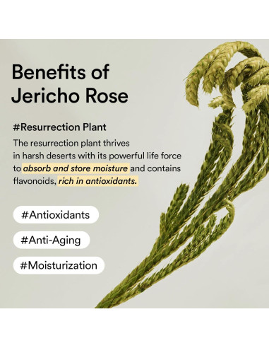Crema para Ojos Abib Jericho Rose 30g - Anti-Ojeras y Líneas Finas