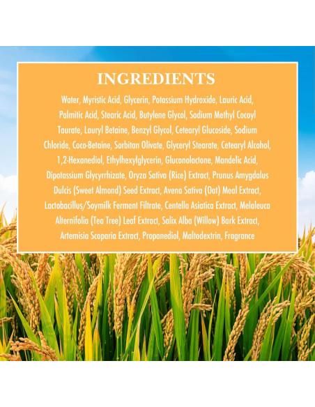 Limpiador Facial Espuma de Arroz Centella 150ml - EOEO