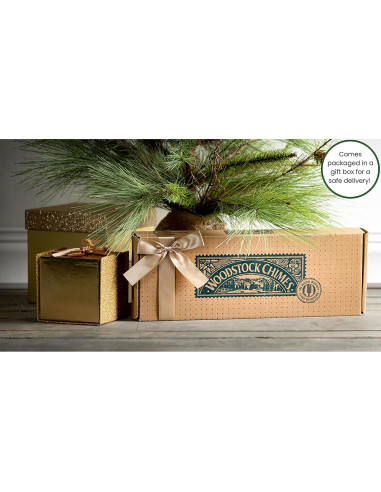 Campana de Mano Woodstock Zenergy Duo 19.05 cm 2 Tonos