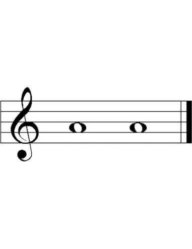 Campana de Mano Woodstock Zenergy Duo 19.05 cm 2 Tonos