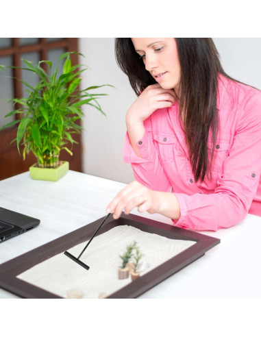 Kit 6 Pcs Rastrillos de Jardín Zen Negro STOBOK - Accesorios Decorativos