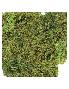 Musgo Falso Verde ZYAPA 1 Cuenta para Manualidades y Macetas