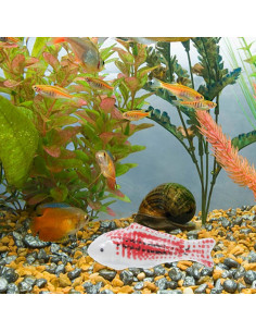 Figuritas de pez flotante de cerámica Milisten, 2 piezas 2