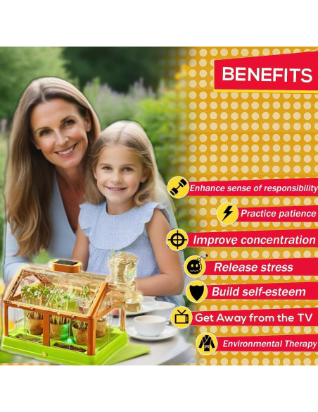 Kit de Terrario Solar GrandSail para Niños 4-8 Años