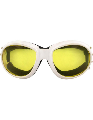 Gafas de Motocicleta Birdz Eyewear Eagle - 2 Pares con Lentes Anti-empañantes