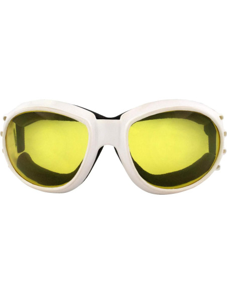 Gafas de Motocicleta Birdz Eyewear Eagle - 2 Pares con Lentes Anti-empañantes