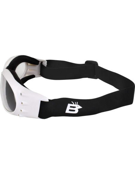 Gafas de Motocicleta Birdz Eyewear Eagle - 2 Pares con Lentes Anti-empañantes