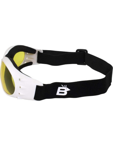Gafas de Motocicleta Birdz Eyewear Eagle - 2 Pares con Lentes Anti-empañantes