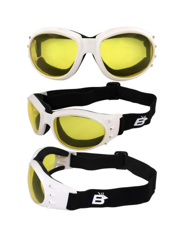 Gafas de Motocicleta Birdz Eyewear Eagle - 2 Pares con Lentes Anti-empañantes
