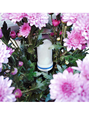 Bombillas LED de Llama Aizhiweng E26 2 Pcs - Efecto Realista