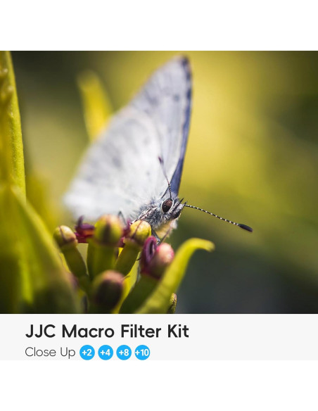 Juego de Filtros Macro Close-Up 58mm JJC (+2 +4 +8 +10) para Canon Juego de Filtros Macro Close-Up 58mm JJC (+2 +4 +8 +10) para Canon