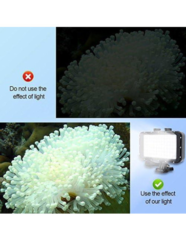 Luces Submarinas Suptig 84 LED Impermeables 50m para Cámaras