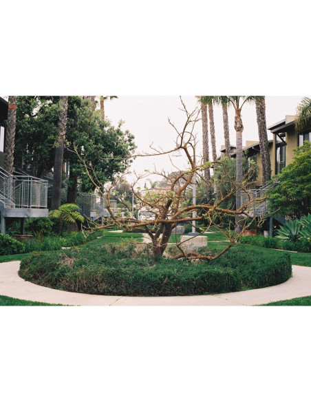 Película Negativa Color Fuji 400 - 3 Rollos 35mm, 36 Exposiciones