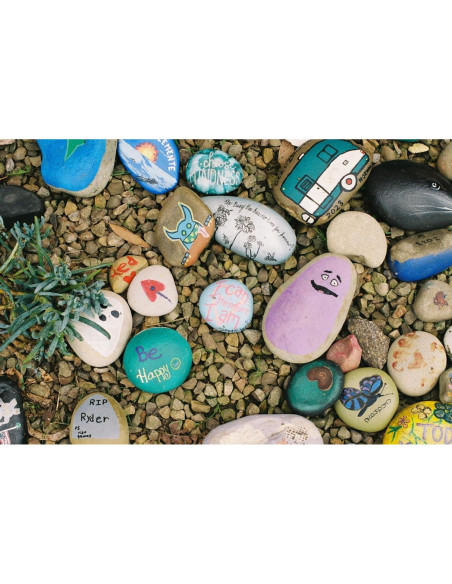 Película Negativa Color Fuji 400 - 3 Rollos 35mm, 36 Exposiciones