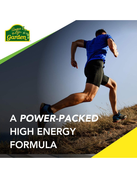 Multivitamínico Orgánico NaturesPlus para Hombres - 90 Tabletas