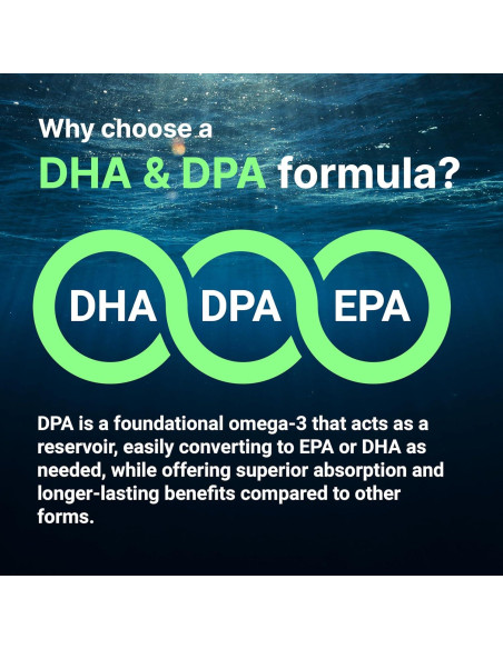 Micro Ingredients Aceite de Algas Omega 3 Vegano 240 Cápsulas Micro Ingredients Aceite de Algas Omega 3 Vegano 240 Cápsulas
