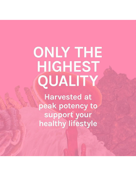 Extracto de Cola de Pavo Host Defense 60 Porciones 60 ml