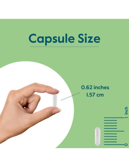Suplemento de Zinc Picolinate 50mg Bestvite 240 Cápsulas Veganas