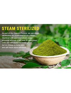 Polvo de Moringa Orgánico SHOPOSR 500g - Sin Aditivos, USDA 2