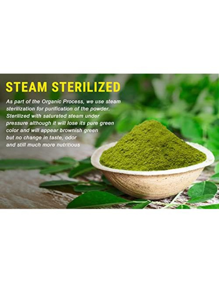 Polvo de Moringa Orgánico SHOPOSR 500g - Sin Aditivos, USDA