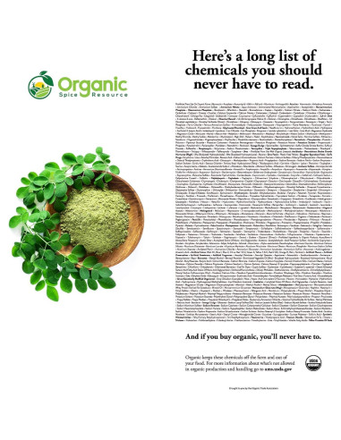 Polvo de Moringa Orgánico SHOPOSR 500g - Sin Aditivos, USDA