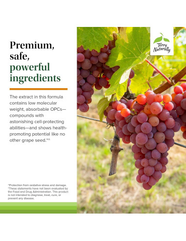 Suplemento de Cúrcuma Terry Naturally CuraMed 60 Gelatinas