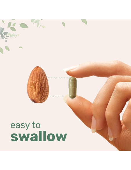 Suplemento de Resveratrol 3000mg Micro Ingredients 240 Cápsulas Veganas