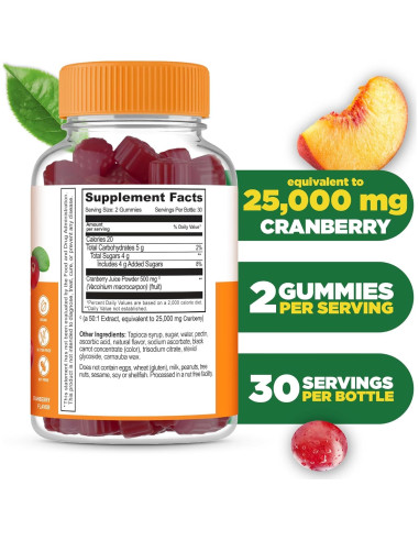 Gomitas de Arándano Lifeable 60 Unidades | Suplemento Vegano