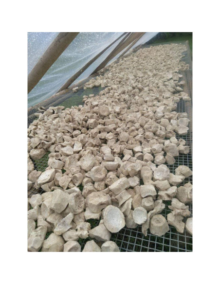 Polvo de Kava Lewena Royal Fiji 450g - Raíz Basal Premium