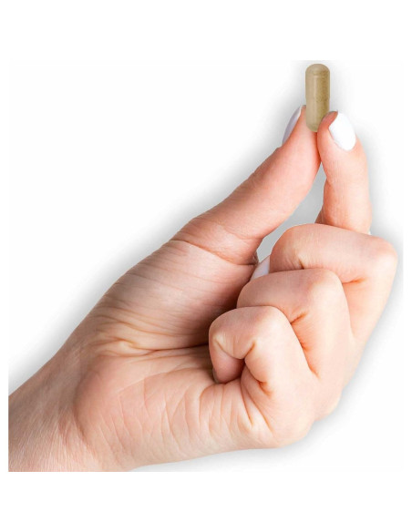 Cápsulas de Ginkgo Biloba Mason Vitamins 125 mg 180 Unidades Cápsulas de Ginkgo Biloba Mason Vitamins 125 mg 180 Unidades