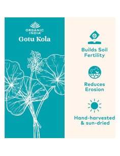 Suplemento Herbal Gotu Kola Organic India - 90 Cápsulas 2