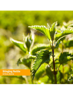 Extracto Líquido de Ortiga Herb Pharm 30 ml Orgánico 2