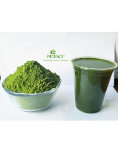 Polvo de Moringa Orgánico MOGO 0.45 kg - Superalimento Verde 2